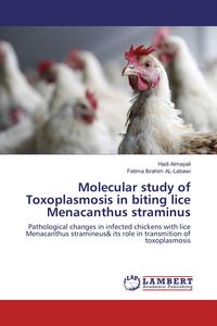 Produktbild: Molecular study of Toxoplasmosis in biting lice Menacanthus straminus