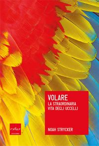 Produktbild: Volare