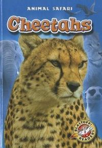 Produktbild: Cheetahs