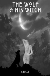 Produktbild: A Wolf & His Witch