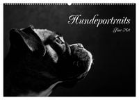 Produktbild: Hundeportraits Fine Art (Wandkalender 2026 DIN A2 quer), CALVENDO Monatskalender