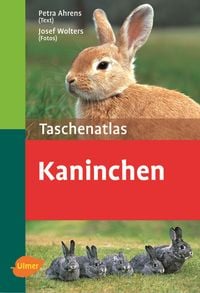 Produktbild: Kaninchen