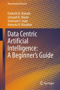 Produktbild: Data Centric Artificial Intelligence: A Beginner&rsquo;s Guide
