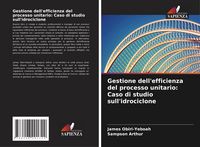 Produktbild: Gestione dell'efficienza del processo unitario: Caso di studio sull'idrociclone