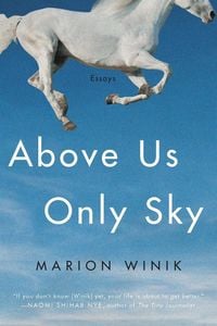 Produktbild: Above Us Only Sky