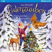 Produktbild: Eulenzauber. Flora und das Weihnachtswunder