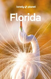 Bild vom Artikel Lonely Planet Reiseführer Florida vom Autor Adam Karlin