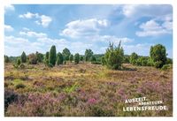 52 kleine & große Eskapaden in der Lüneburger Heide