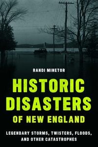 Produktbild: Historic Disasters of New England