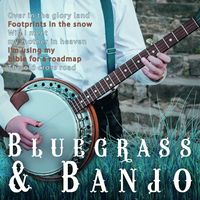 Bild vom Artikel Bluegrass & Banjo vom Autor Various Artists