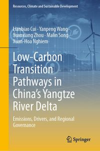Produktbild: Low-Carbon Transition Pathways in China&rsquo;s Yangtze River Delta
