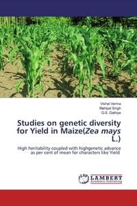 Produktbild: Studies on genetic diversity for Yield in Maize(Zea mays L.)