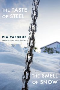 Produktbild: The Taste of Steel | The Smell of Snow