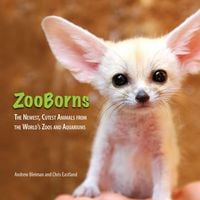 Produktbild: ZooBorns