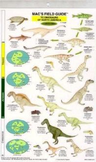 Produktbild: Mac's Field Guides: North American Dinosaurs