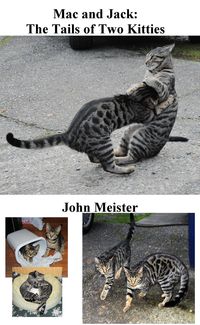 Produktbild: Mac and Jack: The Tails of Two Kitties, as Told by Snapshots