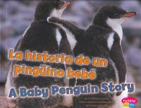 Produktbild: Mul-Historia De Un Pinguino Be
