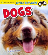 Produktbild: Dogs