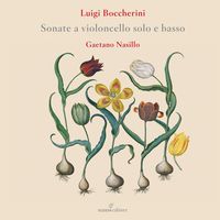 Produktbild: Flute Concertos