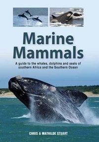 Produktbild: Marine Mammals