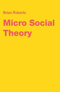 Produktbild: Micro Social Theory