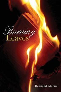 Produktbild: Burning Leaves
