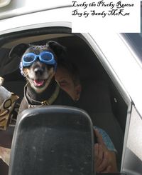 Produktbild: Lucky the Plucky Rescue Dog
