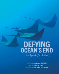 Produktbild: Defying Ocean's End