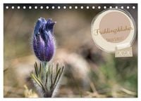 Produktbild: Frühlingsblüher - Farbenpracht nach dem Winter (Tischkalender 2026 DIN A5 quer), CALVENDO Monatskalender