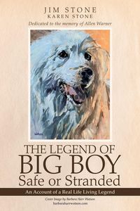 Produktbild: The Legend of Big Boy Safe or Stranded