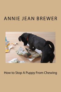 Produktbild: How to Stop a Puppy From Chewing