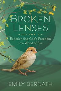 Produktbild: Broken Lenses Volume 3