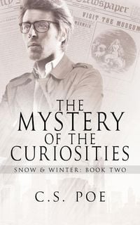 Produktbild: The Mystery of the Curiosities