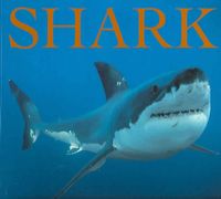 Produktbild: Shark