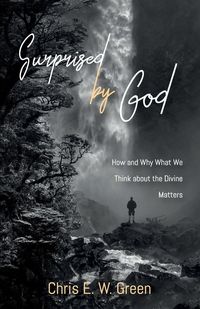 Produktbild: Surprised by God