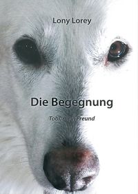 Produktbild: Die Begegnung