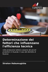 Produktbild: Determinazione dei fattori che influenzano l'efficienza tecnica