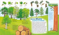 Wald / Was ist was junior Bd. 12