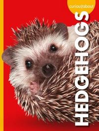 Produktbild: Curious about Hedgehogs