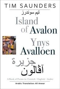 Produktbild: Island of Avalon / Ynys Avalloen