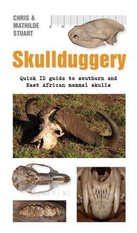 Produktbild: Skullduggery