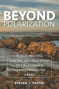 Produktbild: Beyond Polarization