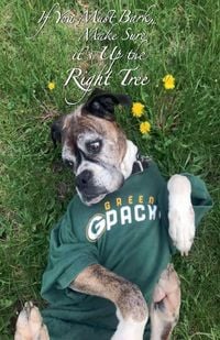 Produktbild: If You Must Bark, Make Sure it's Up the Right Tree