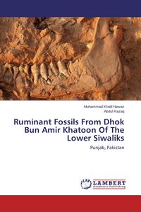 Produktbild: Ruminant Fossils From Dhok Bun Amir Khatoon Of The Lower Siwaliks