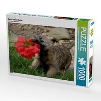 Produktbild: CALVENDO Puzzle Cairn Terrier Welpe | 1000 Teile Lege-Gr&ouml;&szlig;e 64x48cm Foto-Puzzle f&uuml;r gl&uuml;ckliche Stunden