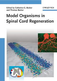Produktbild: Model Organisms in Spinal Cord Regeneration