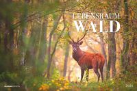 Bild vom Artikel Lebensraum Wald 2024 - Bildkalender 49,5x33 cm - Tiere und Pflanzen in unseren heimischen Wäldern - Wandkalender - Wandplaner - Tierkalender vom Autor 