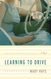 Produktbild: Learning to Drive