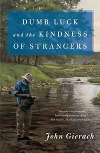 Produktbild: Dumb Luck and the Kindness of Strangers