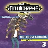 Produktbild: Die Begegnung